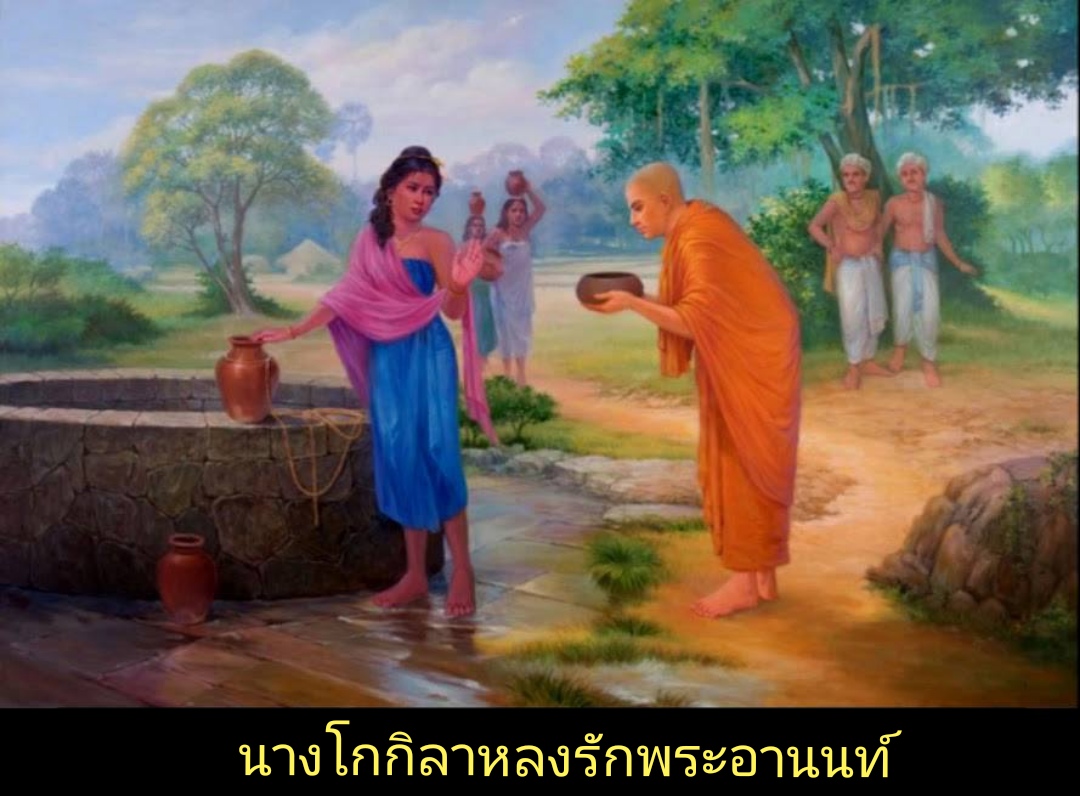 ปก